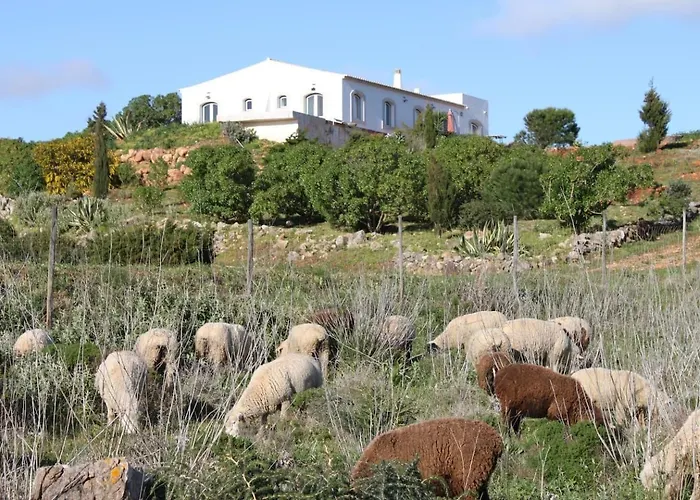 Casa Furnas - Eco Vila do Bispo